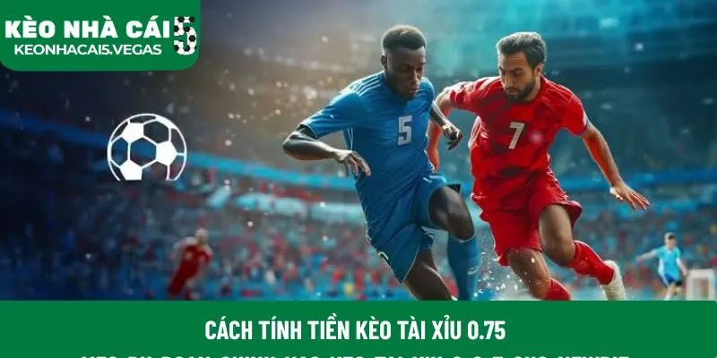 Cách tính tiền kèo tài xỉu 0.75