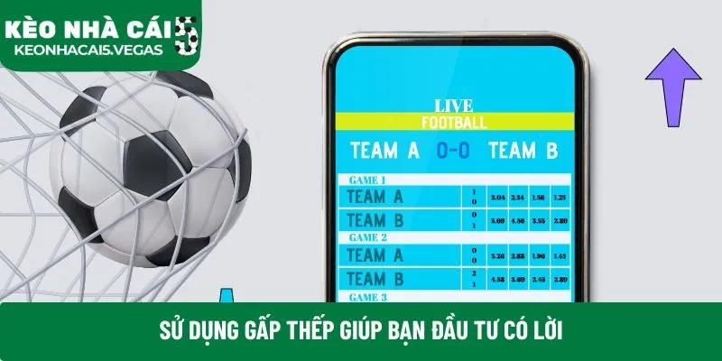 Sử dụng gấp thếp giúp bạn đầu tư có lời